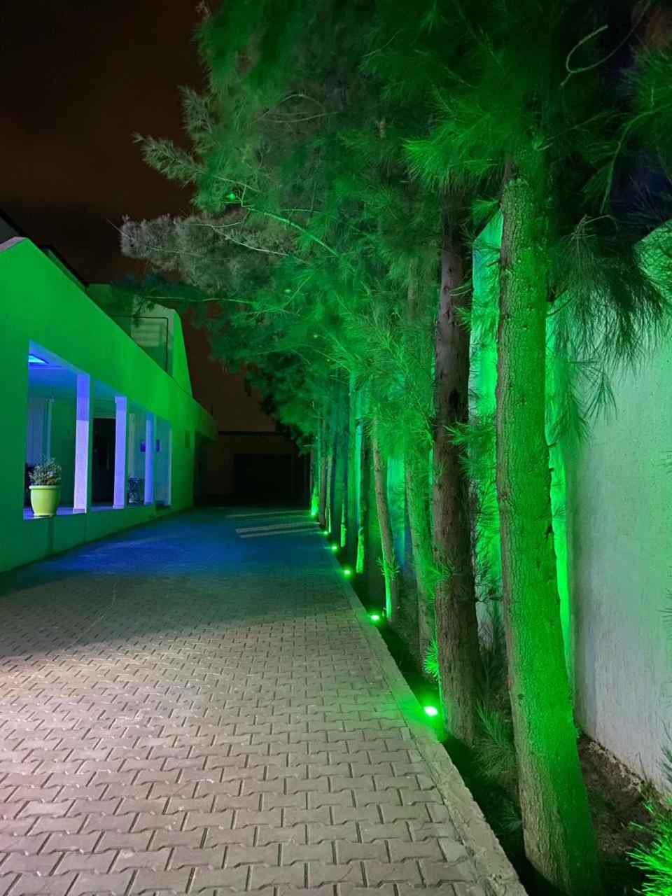 Riad Nice Tagadirt ภายนอก รูปภาพ